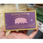 zoology 动物造型巧克力 Z-4 家养猪 1个入（任意路线可发）（缺货退款）