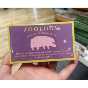 zoology 动物造型巧克力 Z-4 家养猪 1个入（任意路线可发）（缺货退款）
