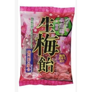 零食：生梅饴 纪州南高梅110g（可发/低价值/零食线）