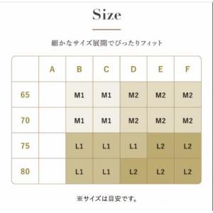 特价代购；日本sloggi黛安芬新款蕾丝面聚拢 无钢圈内衣文胸10192476《断货退款》