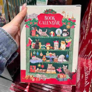 圣诞限定 巧克力图书日历 猫猫图书馆...