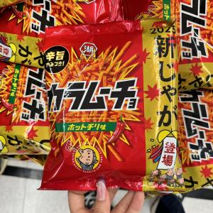 湖池屋KOIKEYA 细切薯条 香辣味90g（只能发邮政线路）