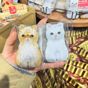 KALDI 情人节期间限定 小猫盒装...