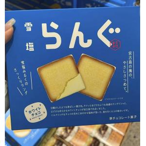 日本冲绳特产名菓 宫古岛雪盐 秋冬限定白巧克力夹心饼干 10枚入